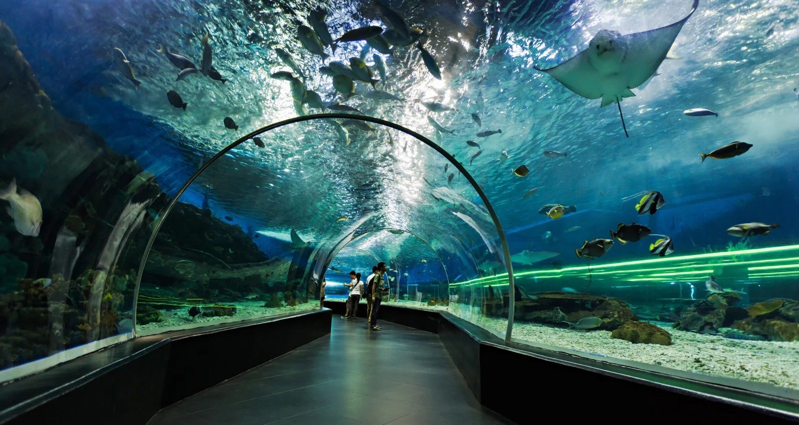The World’s Longest Tunnel Aquarium